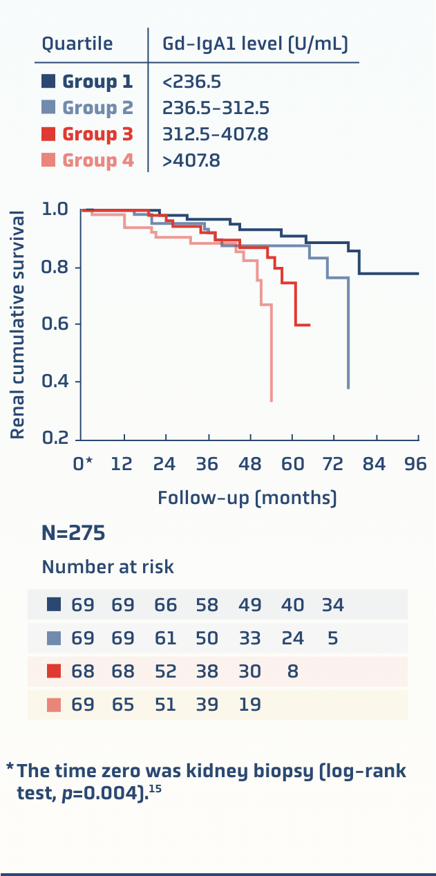 Graph showing renal survival over time in patients with IgAN stratified by quartiles of serum Gd-IgA1. Higher levels correlate with worse outcomes.