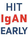 hit-icon